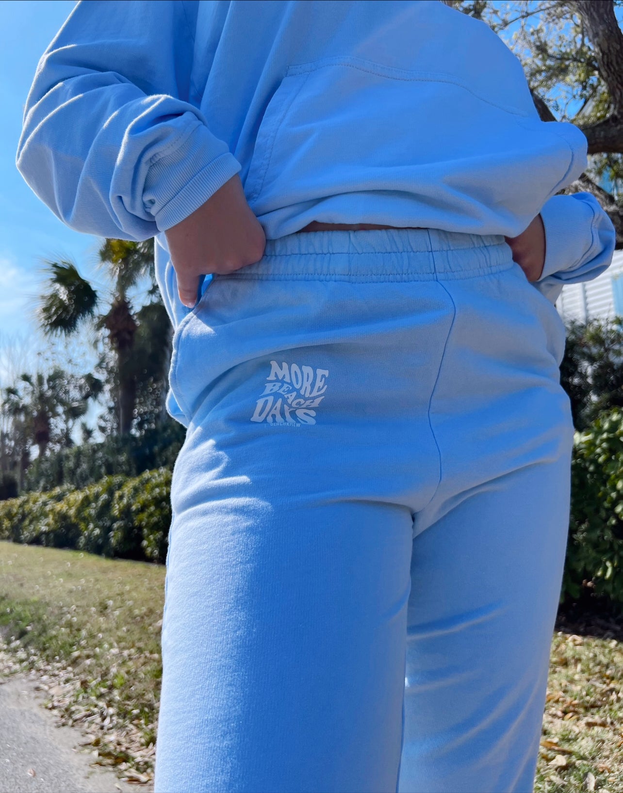 Blue discount roots sweatpants