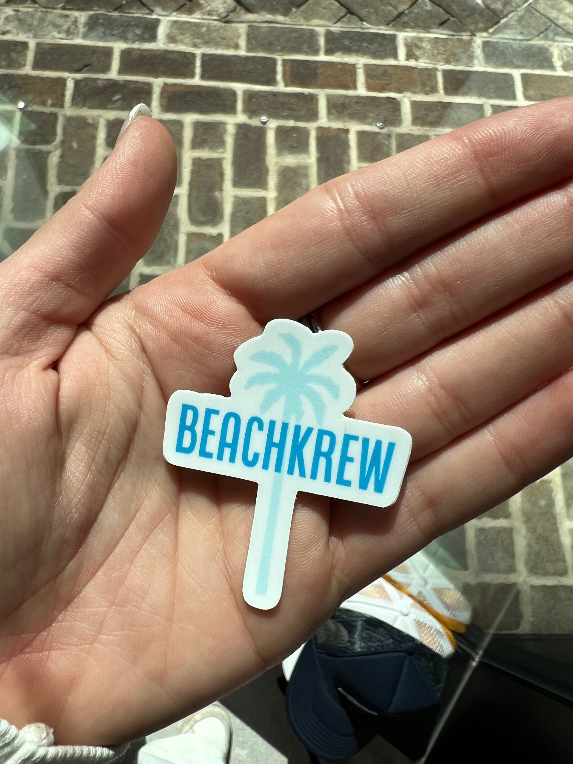 BEACHKREW LOGO STICKER - LIGHT BLUE